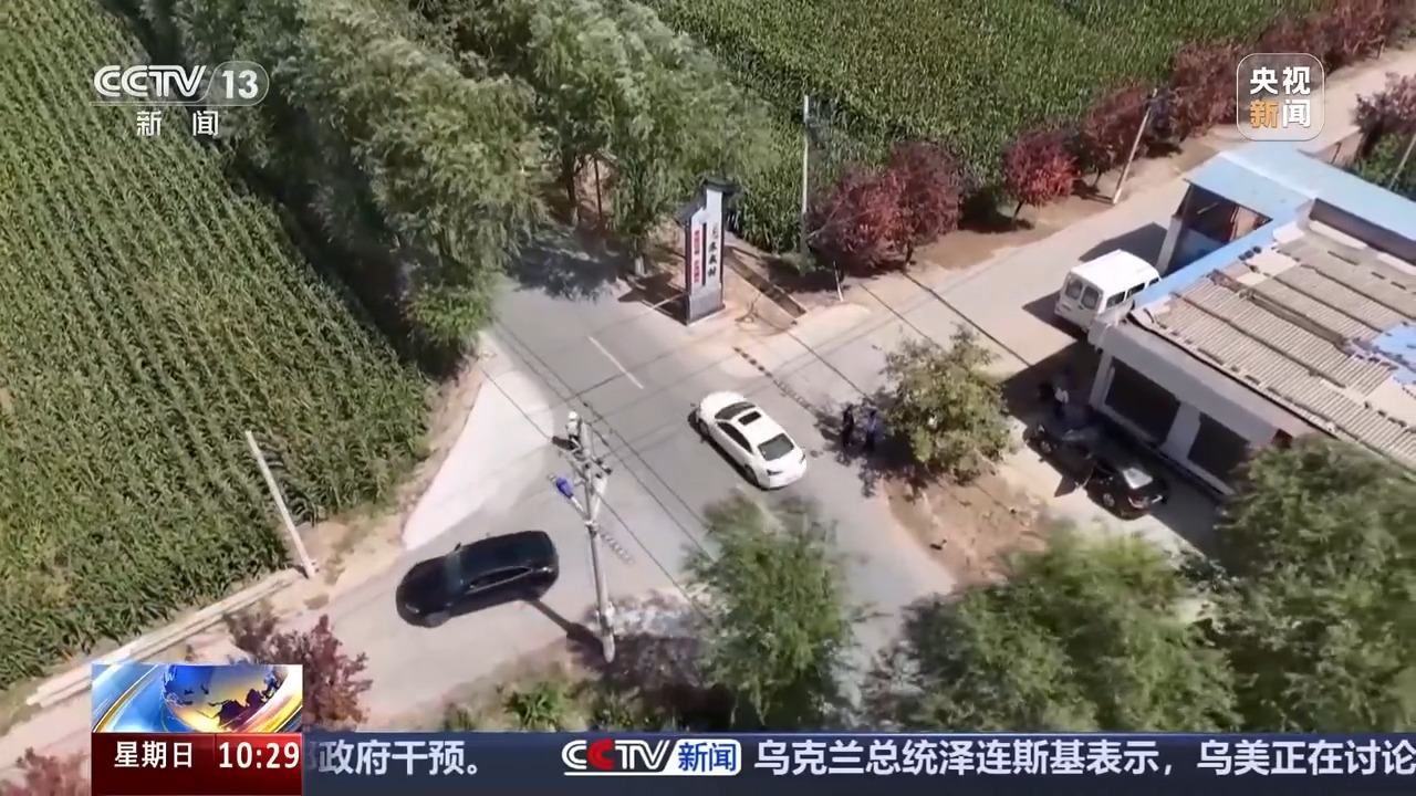 出行提示_無信號(hào)燈路口通行規(guī)則_國(guó)慶中秋假期交通安全提示