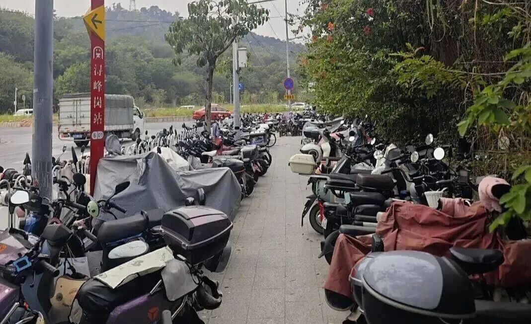 電動(dòng)自行車增長趨勢_廣州限行政策_(dá)禁行