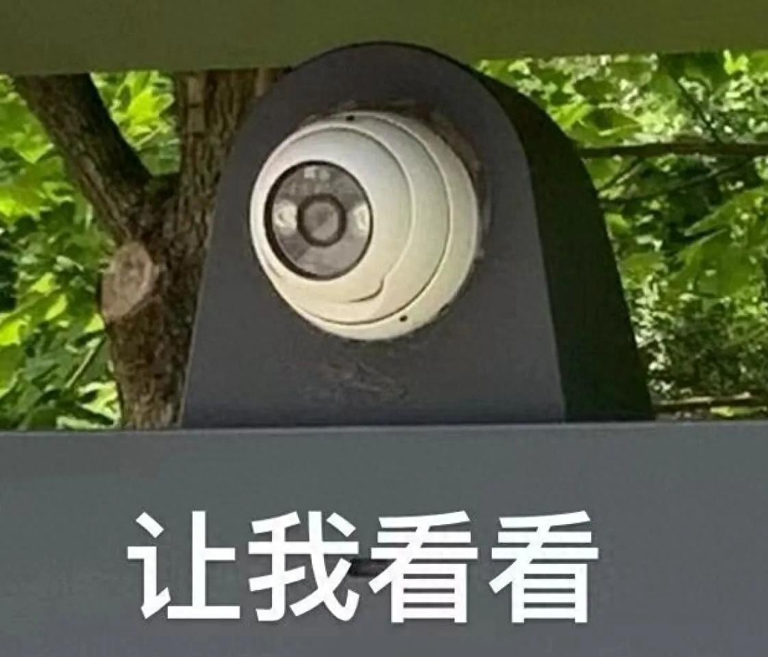 雙號限行政策_限行_廣州限行規(guī)則