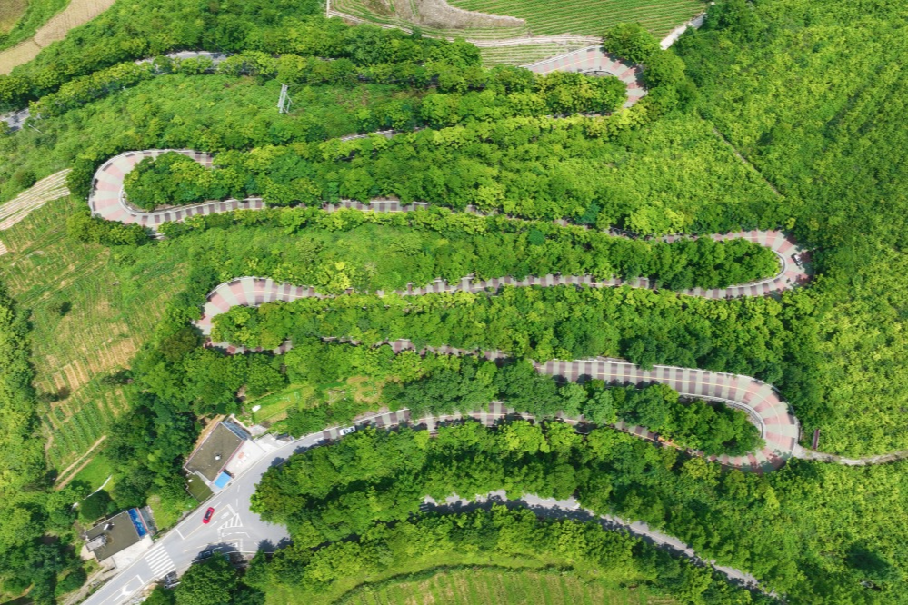 出行提示_農(nóng)村道路交通安全提示_駕駛?cè)顺鲂邪踩?/></p></div>
    <div   id="k43ox56"   class="clearfix"></div>
        <h5 class="post-tags"><span id="k43ox56"    class="glyphicon glyphicon-tags"></span> <a href="http://www.blog009.com/tags-7357.html" title="農(nóng)村交通安全">農(nóng)村交通安全</a><a href="http://www.blog009.com/tags-2648.html" title="交通安全提示">交通安全提示</a><a href="http://www.blog009.com/tags-8805.html" title="駕駛?cè)税踩?>駕駛?cè)税踩?/a><a href="http://www.blog009.com/tags-6889.html" title="行人安全">行人安全</a><a href="http://www.blog009.com/tags-8806.html" title="黔江交警">黔江交警</a></h5>
        <div   id="k43ox56"   class="alert alert-info p-copyright" role="alert">
        <p> 本站文章除注明轉(zhuǎn)載/出處外，均為本站原創(chuàng)或翻譯。若要轉(zhuǎn)載請務(wù)必注明出處，尊重他人勞動成果共創(chuàng)和諧網(wǎng)絡(luò)環(huán)境。 </p>
        <p> 轉(zhuǎn)載請注明 : 文章轉(zhuǎn)載自 ?<a href="http://www.blog009.com/" rel="bookmark" title="作者：admin"> 途訊交通網(wǎng) </a>?<a href="http://www.blog009.com/txfl-3.html" rel="bookmark" title="網(wǎng)站分類：出行攻略與工具"> 出行攻略與工具 </a> ?<a href="http://www.blog009.com/tx/13597.html" rel="bookmark" title="本文固定鏈接：http://www.blog009.com/tx/13597.html"> 10月16日黔江民警做客欄目解讀農(nóng)村道路交通安全要點 </a> </p>
    </div>
    <div   id="k43ox56"   class="clearfix"></div>
    <ul class="post-share-tools">
        <li><a href="javascript:;" class="share-tools praise" xv=