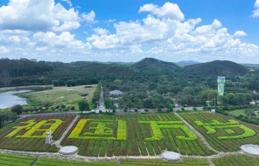 出行提示_欽州國(guó)慶中秋假期道路施工通告_欽州國(guó)慶中秋假期交通出行指南