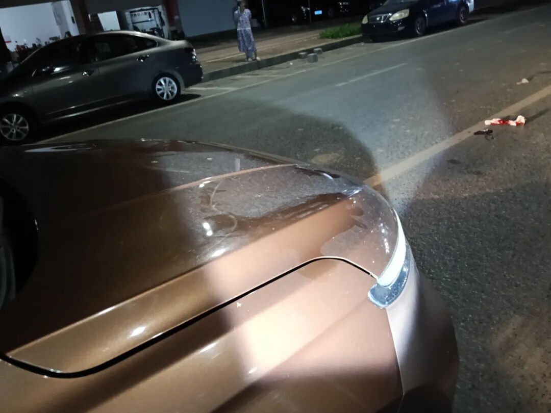 路況_行車(chē)安全注意事項(xiàng)_駕駛觀察禮讓行人