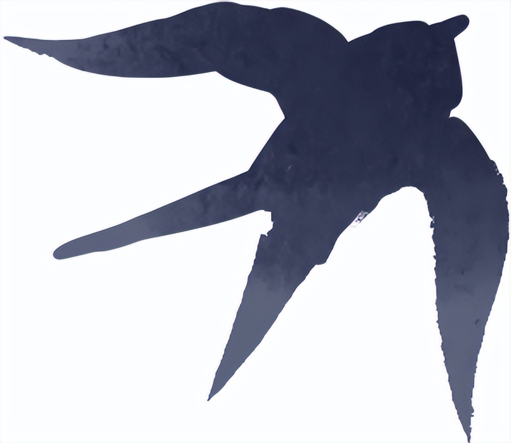 出行提示_雨霧天氣駕駛注意事項_秋季雨霧行車安全